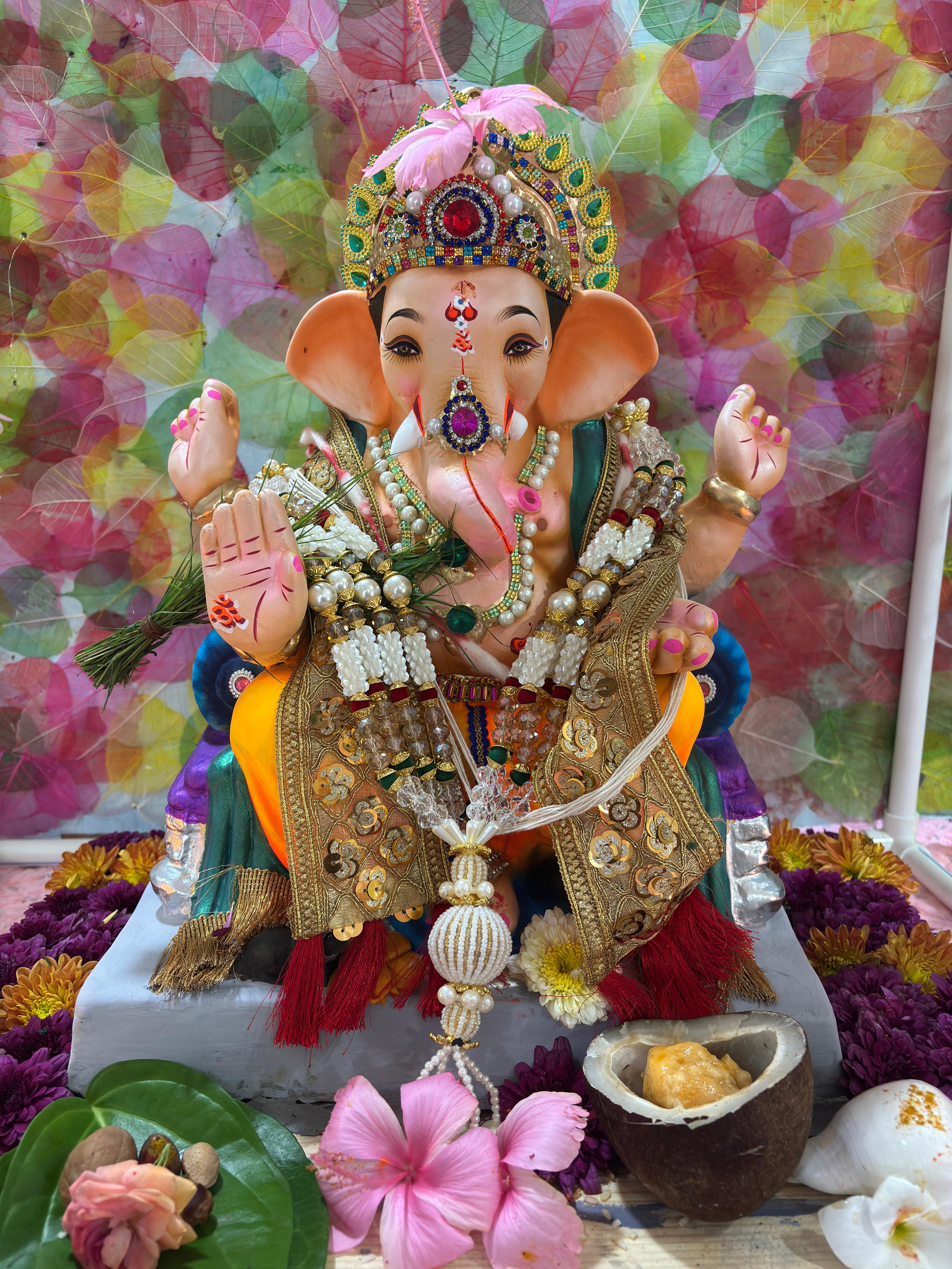 गणपती बाप्पा - Viraj Satywan Change